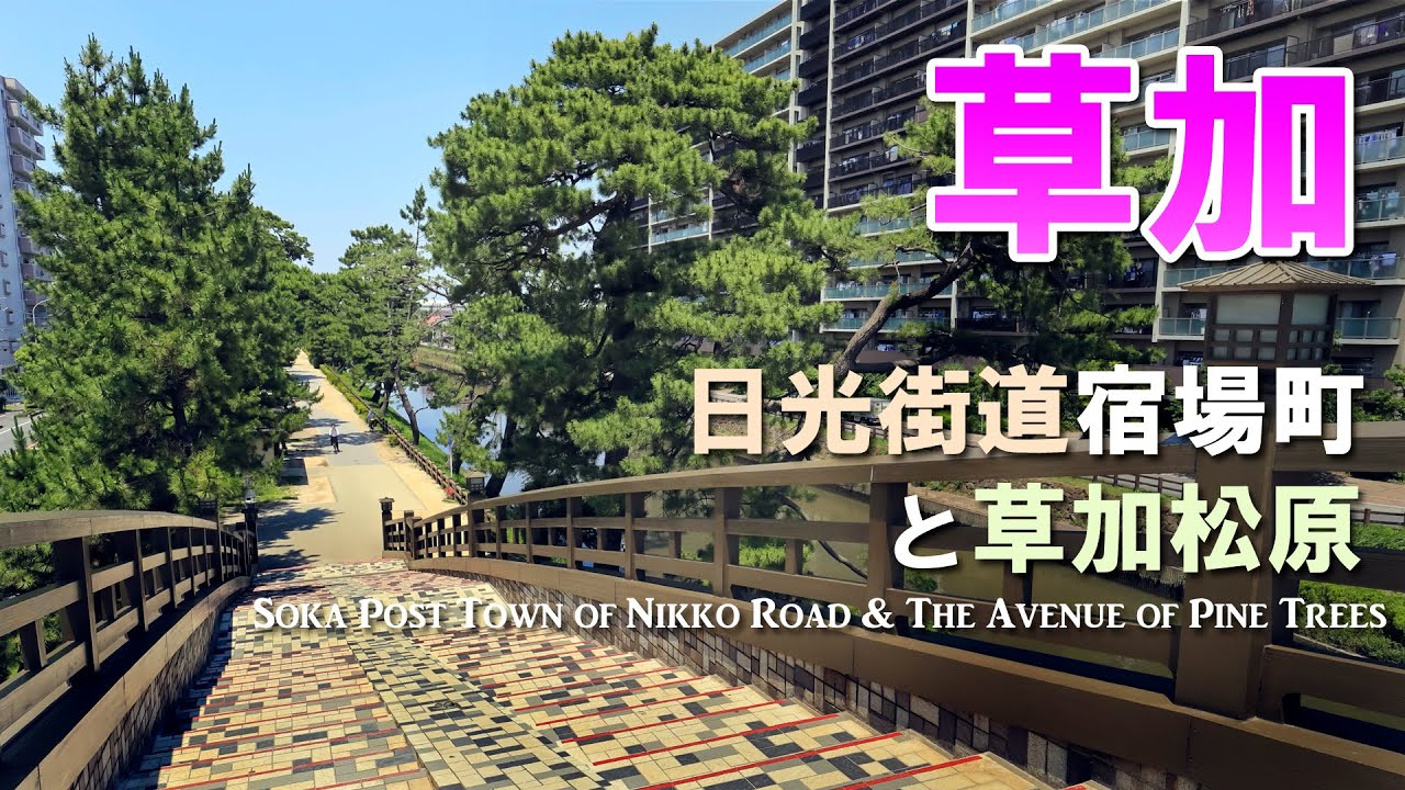 【草加街歩き】草加松原と奥の細道の面影