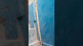 cpvc pipe fitting tips Bansal pump 1hp ke sath#shorts #viral #trending #funny