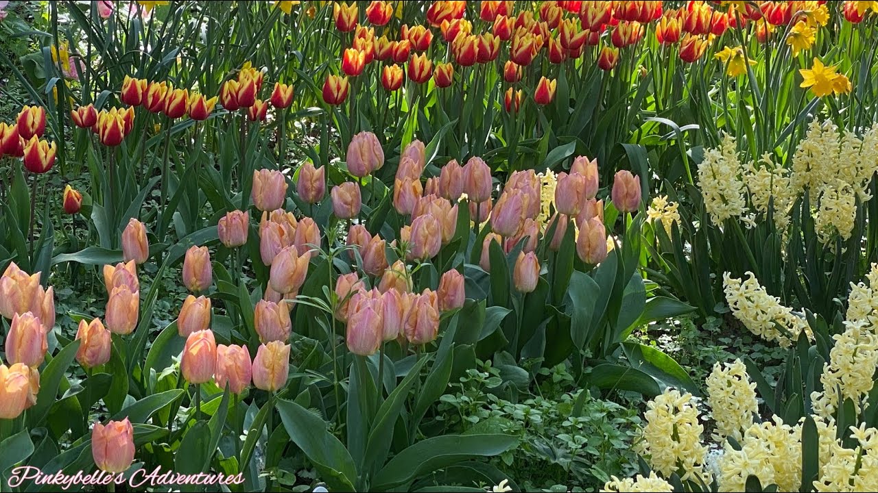 Springfields Garden Centre Lincolnshire, UK Part One YouTube