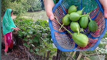 শুধু ঝিঙ্গের এই রেসিপি দিয়েই একথালা ভাত খাওয়া হয়ে যাবে।ঝিঙ্গে রেসিপি। Ridge Gourd Recipe