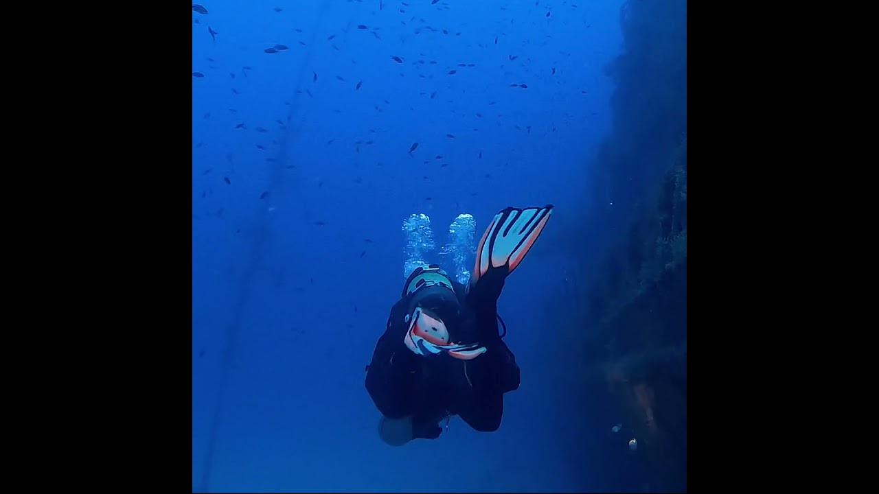 Discover the Pendulum Diver - Exclusive Luxury Dive Watch Pre-Order