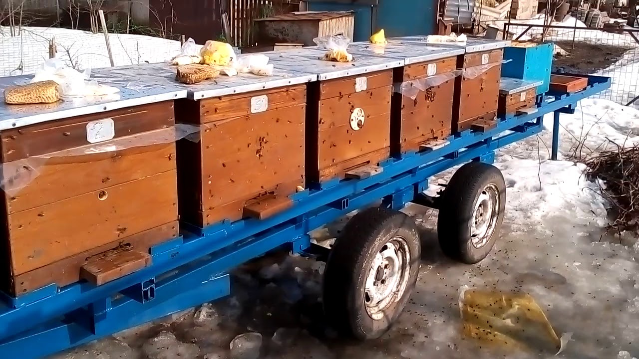 Купить прицеп для пчел. Прицеп «пасека седельная-24» (“ось”). Прицеп пчеловод Орион-9 с удлиненной платформой. Прицеп пчеловодческий платформа Орион 9. Прицеп балансир пчеловодный.