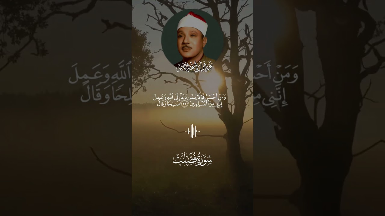 أجمل ما جود الشيخ عبد الباسط عبد الصمد 🌹لسورة فصلت2🤍
