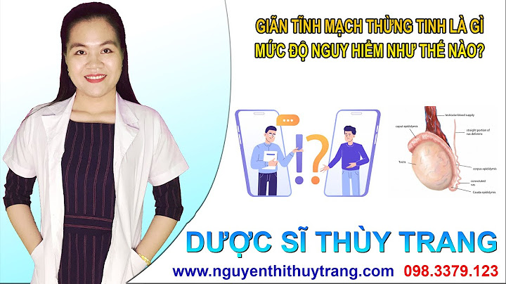 Giãn tĩnh mạch thừng tinh là gì năm 2024