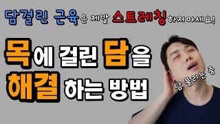 목에 담 걸렸을 때 제발 스트레칭하지마세요ㅜ