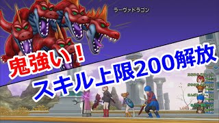 Dqx ラーヴァドラゴンが強すぎ スキル0解放 ディエゴからの試練 Youtube