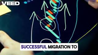 ERPNext migration transforms businesses Erpnext Improved Data Import Beta Webinar
