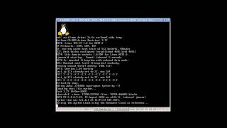 Debian Woody PPC (APUS) on Amiga A4000 (WinUAE) Blizzard PPC Part 5 - Kernel modules