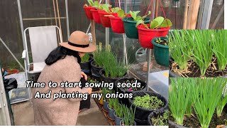 Time to start sowing seeds and planting my onions 🌱ได้เวลาเริ่มเพาะต้นกล้าผักและปลูกต้นหอมค่ะ🌱🌱