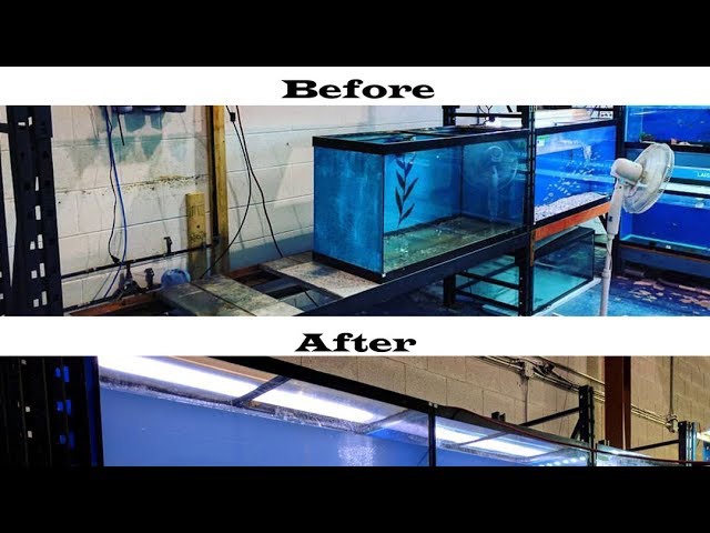 Moving 6x 90 gallon tanks to start building our Wall-o-aquariums - FSXM  S01E02 