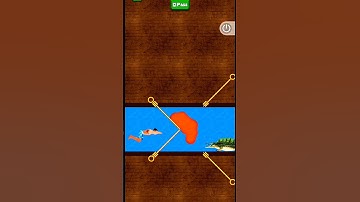 The Secrets Behind My Gold-Winning Strategy