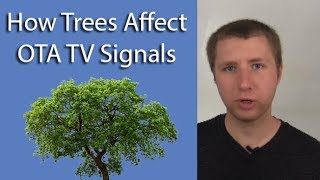 How Trees Affect Ota Tv Signals From Antennas