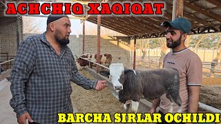 : MOL BOQISH SIRLARI ACHCHIQ XAQIQAT 99% ODAMLAR BU XATONI QILMOQDA XALQIM UYG'ON