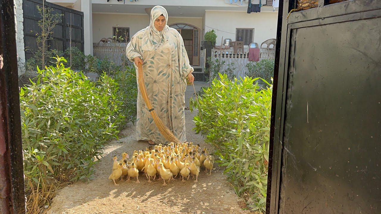 اللى أوله صعب اخره راحة🫰عندى بيت عندى عشره🤌🏻بفضل لله وعرقنا  لأعين تتكسر لينا ولا ضهر يتعافى علينا 