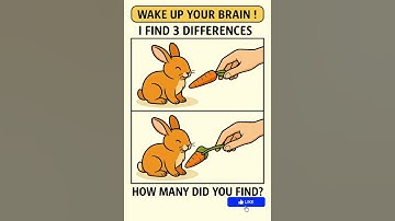 🐰 Find 3 Differences | Bunny and the Carrot