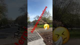 Get your Zyrtec and your Claritin ready #growingchannel #Allergies