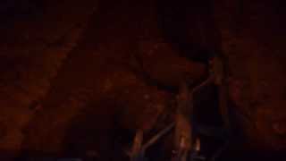 New Holland Tt 55 Vs Alpler 312 Gece Sürümü 2014