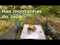 Aventura nas montanhas do Japão com um mini carro