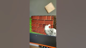 normal mapping and parallax mapping