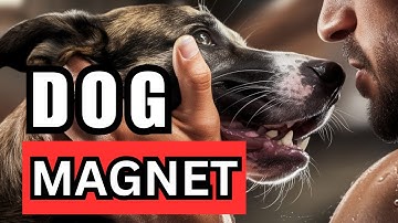 10 Scientifically Proven Traits Dogs Can