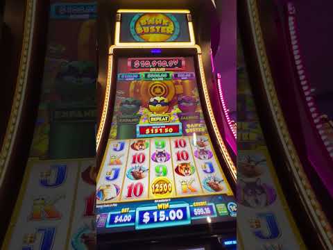 Discover Poli Pay Casino NZ: Your Ultimate Guide to Playing Online in English