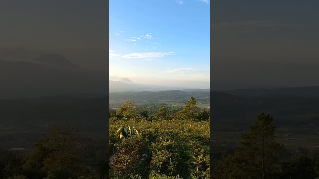 TIKUNGAN CANDI GEDONGSONGO !! 