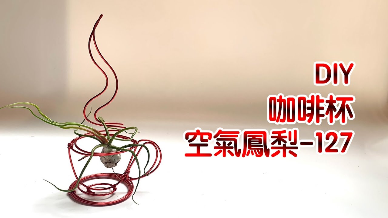 DIY wire 教你如何使用彩色鋁線製作空氣鳳梨 咖啡杯 How to make Aluminum wire Air plant flowerstand coffee cup