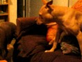 Playtime!
