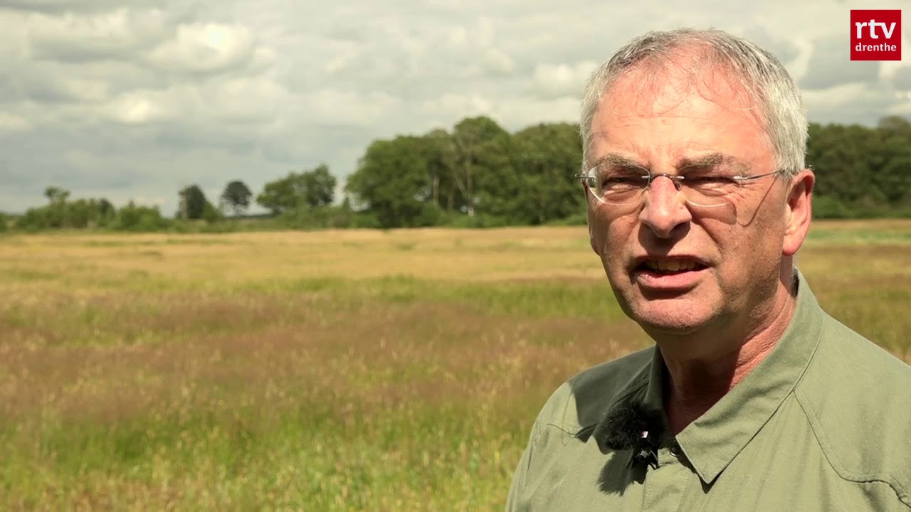 Het Drentsche Aa-gebied #2 | ROEG! 25 januari 2020