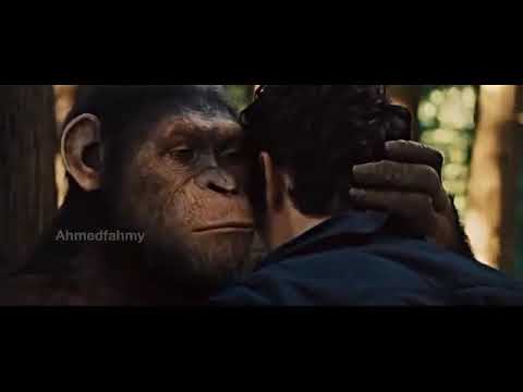 عشان انت شخص عزيز عليا حبيت اقولك عندكوا شامبو