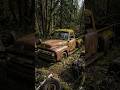 This Abandoned Ford F-100 Was Left to Rot… Look What Happened 😱🔥