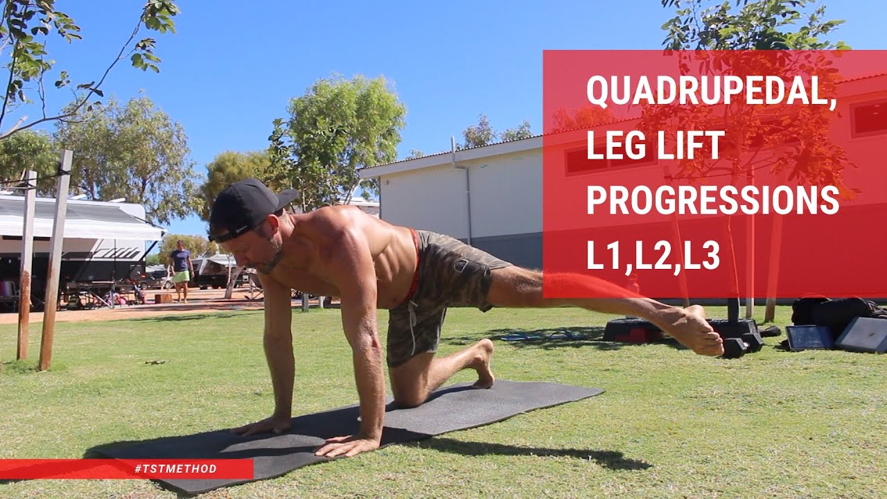 Quadrupedal Leg Lift Progressions L1,L2,L3 YouTube