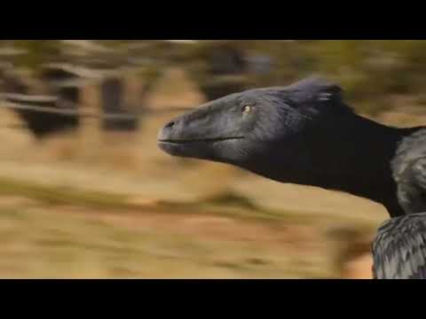 Deinonychus Hunt Ornithomimids Struthiomimus And Arkansaurus 
