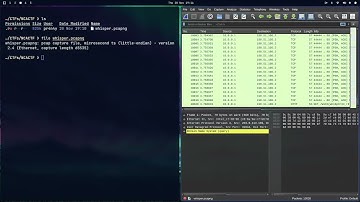 Whispered Relay | WiCS CTF 2025 | Solution