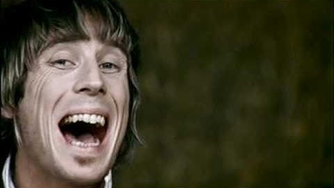 Gyroscope - Snakeskin