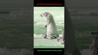 Part2 Polar Bear Nearly Killed His Friend #movie #filmflashbacks