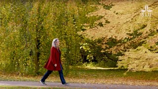 sa Ode Sang  Professor Of Urban Vegetation Design At Slu