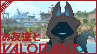 【VALORANT】お友達とVALORANT！【新人Vtuber】