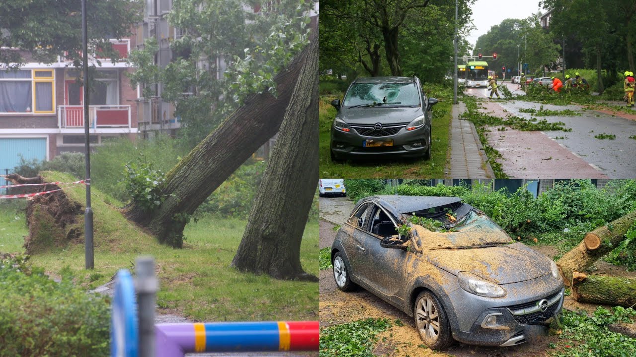Storm Poly raast door Heemskerk: veel stormschades | 05/07/2023
