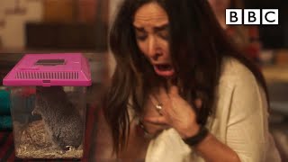 How My Mum Would React If I Bought A Pet Better Things - Bbc