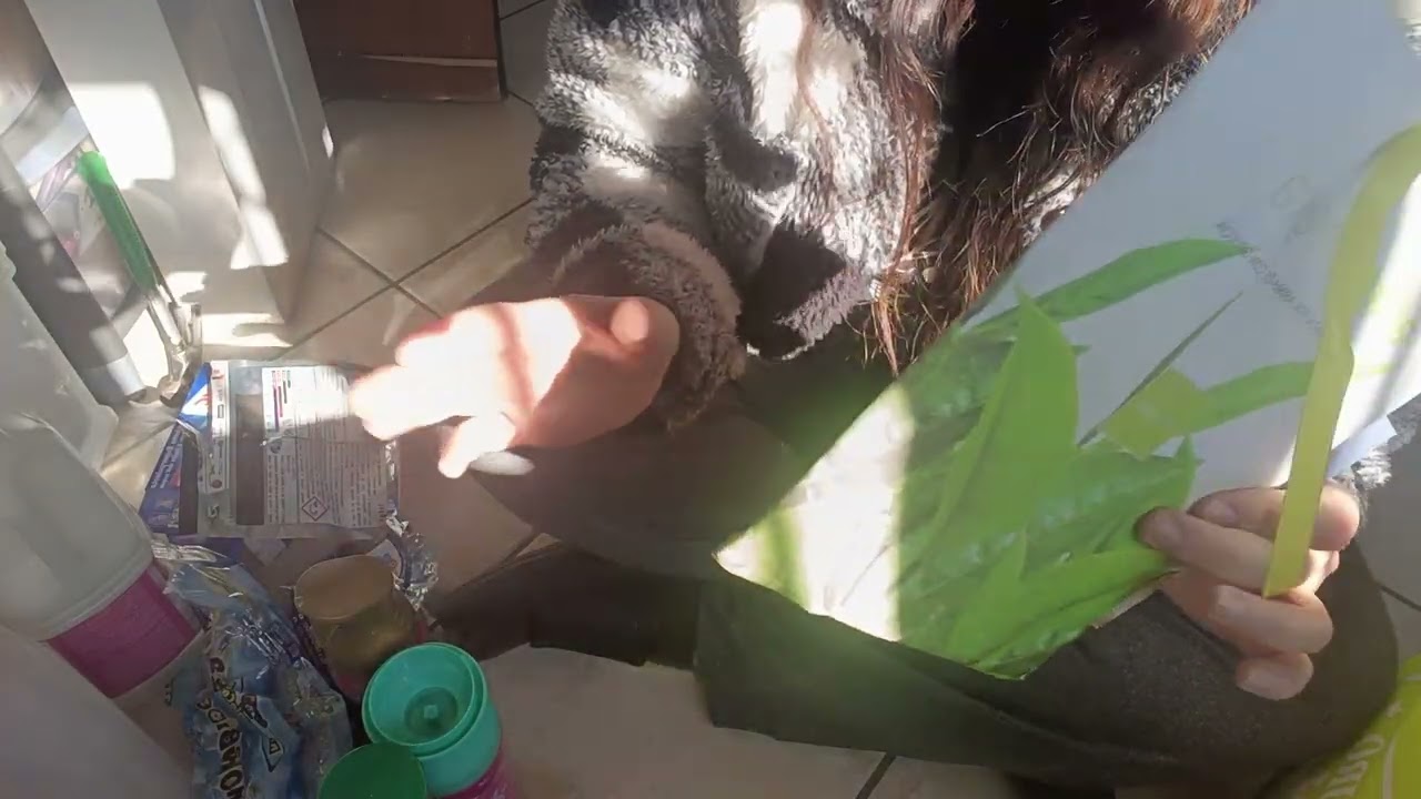 Prodotti finiti di casa 🏡