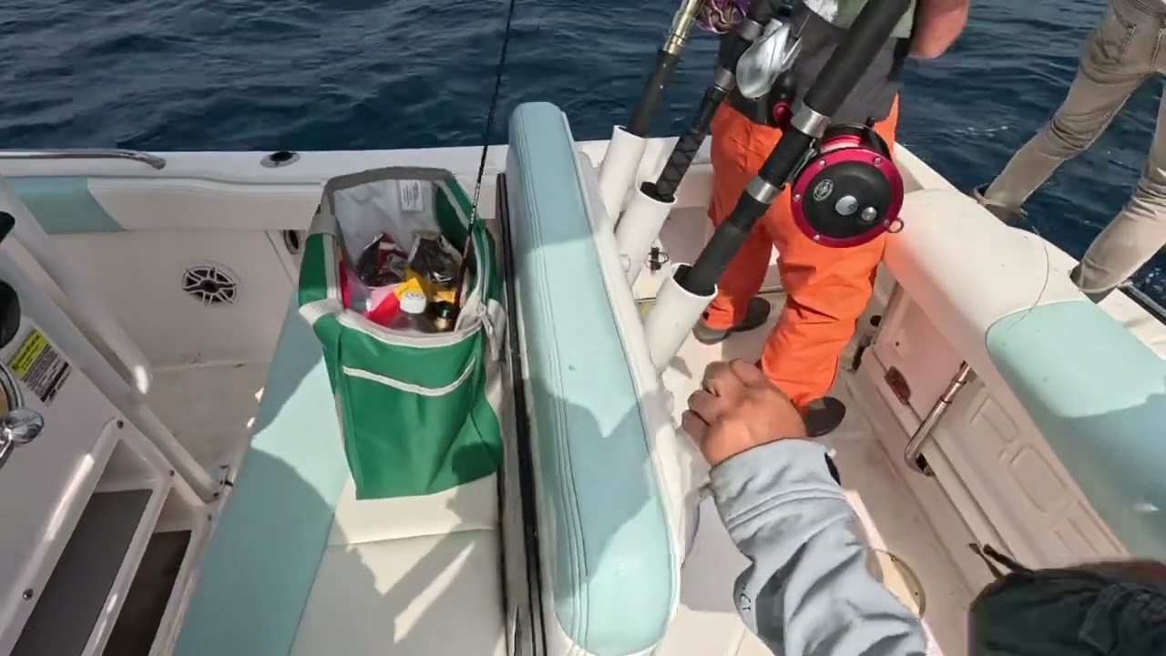 Triple yellow tail hook up. 