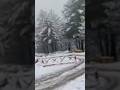 Heavy Snowfall in Northern Areas, People Push Cars Through Snow