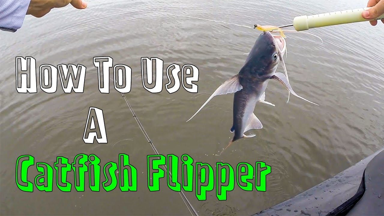 How To Use A Catfish Flipper On Slimy Hardhead Catfish