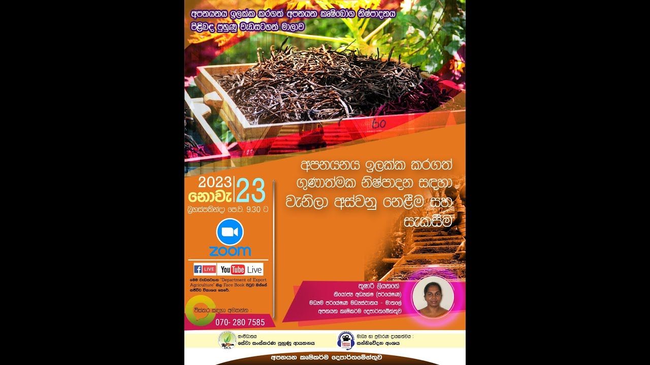 අපනයනය ඉලක්ක කරගත් ගුණාත්මක නිෂ්පාදන සඳහා වැනිලා අස්වනු නෙලීම සහ සැකසීම