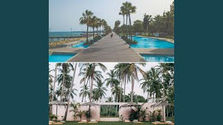 Scintillating New Mindsets from New Places