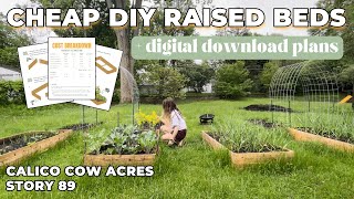 Cheap DIY Raised Garden Beds | Homestead Builds