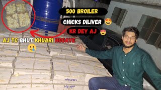 5000 Broiler Chicks Diliver Kr Dey Aj 🐥❤️ 🐣| Aj to Bhut Ziada Mehnat Hogaye Bhaee😱