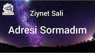 Ziynet Sali - Adresi Sormadım (Lyrics) Resimi