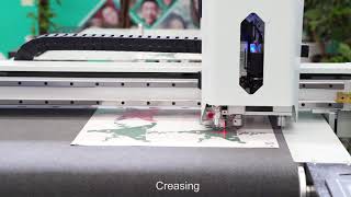 AOL-0710PAS CCD camera positioning system and cutting plotter